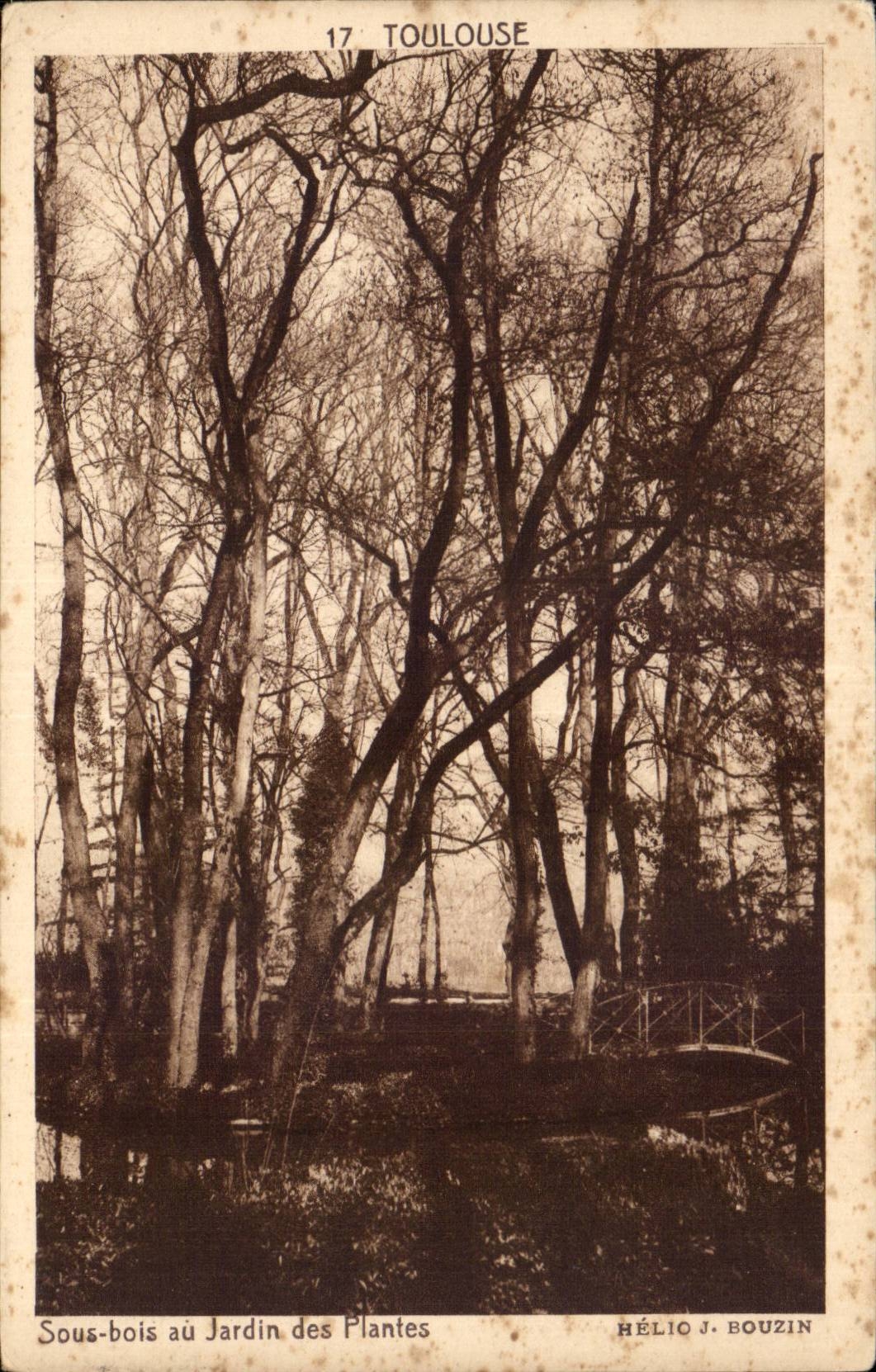 Sous-bois au Jardin des Plantes — Toulouse — Hélio J. Bouzin, n°17