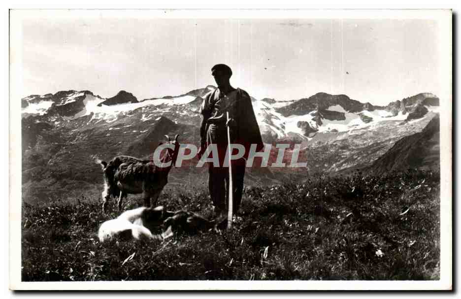 Luchon - Superbagneres - Le Patre - 1800m - chevre - goat CPA 