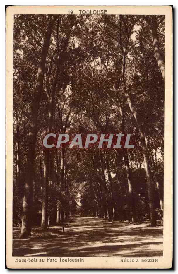Toulouse - Sous bois au Parc CPA - 