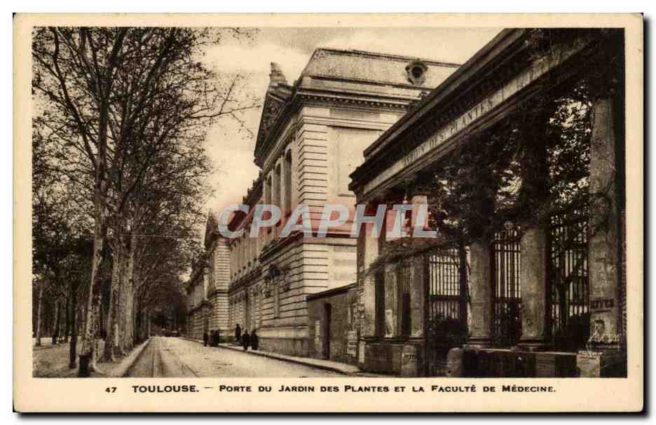 Toulouse - Porte du Jardin es Plantes et la Faculte de Medecine CPA 