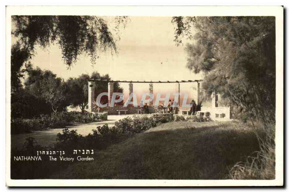 Israe - Netanya - Natanya - The Victory Garden - Hebrew Script - CPA 