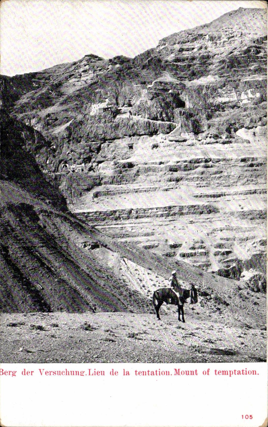 Israel - Jerusalem - Lien de la Tentation - Mount of Temptation - ane - donkey - CPA 