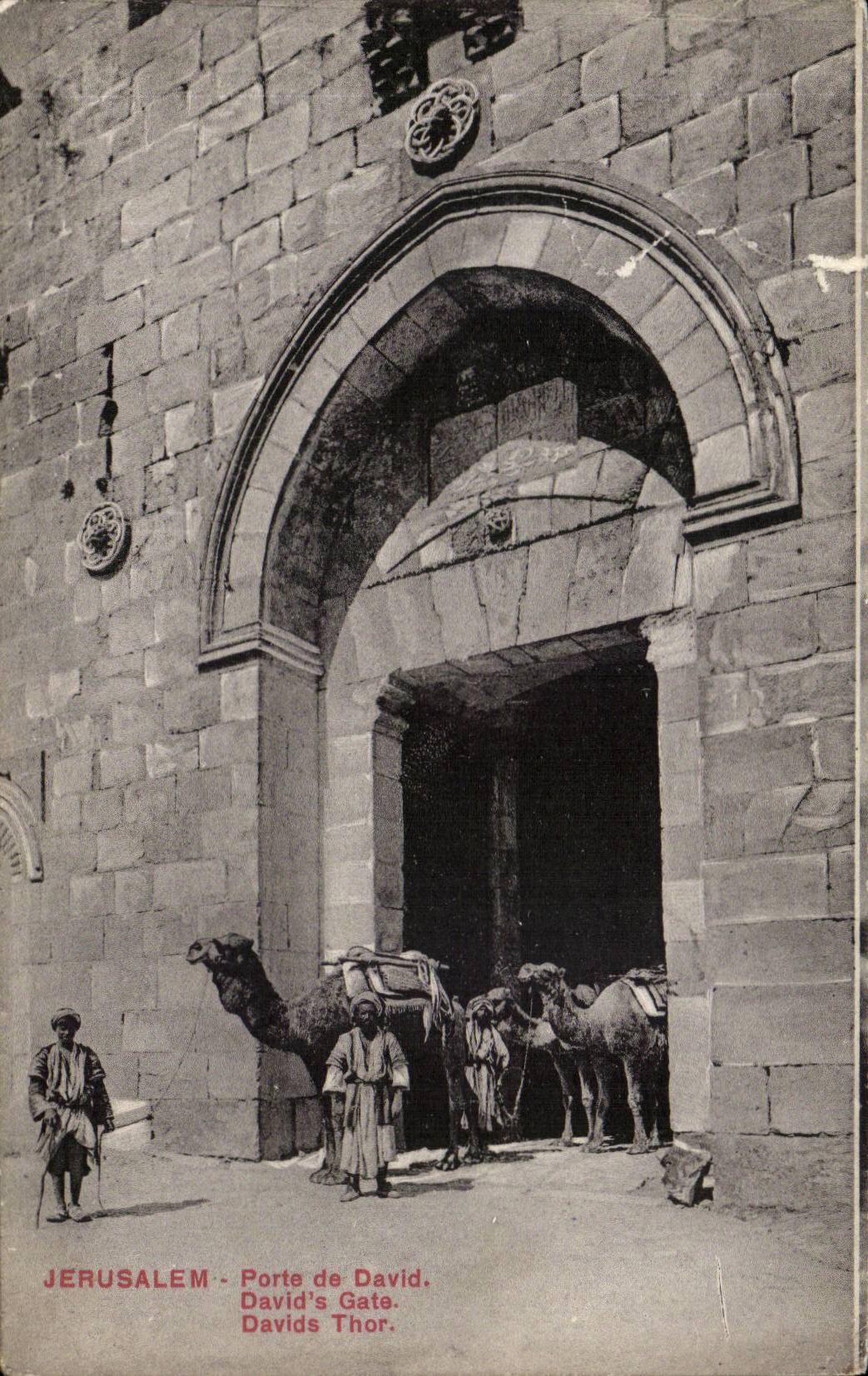 Israel - Jerusalem Porte de David - David's Tor - Kamel - - Antike Ansichtskarte