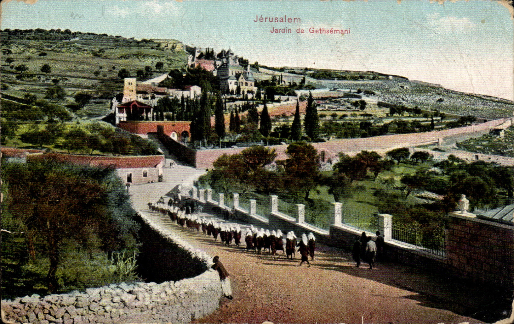 Israel - Jerusalem - Jardin de Gethsemani - CPA 