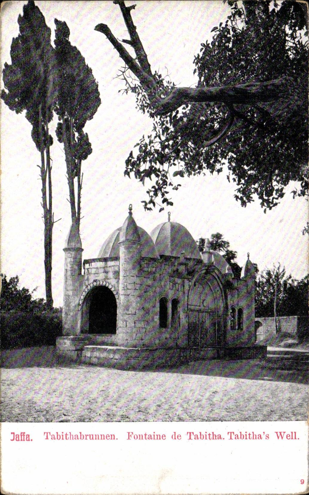 Israel - Jaffa - Fontaine de Tabitha - Tabitha's Wall - CPA 