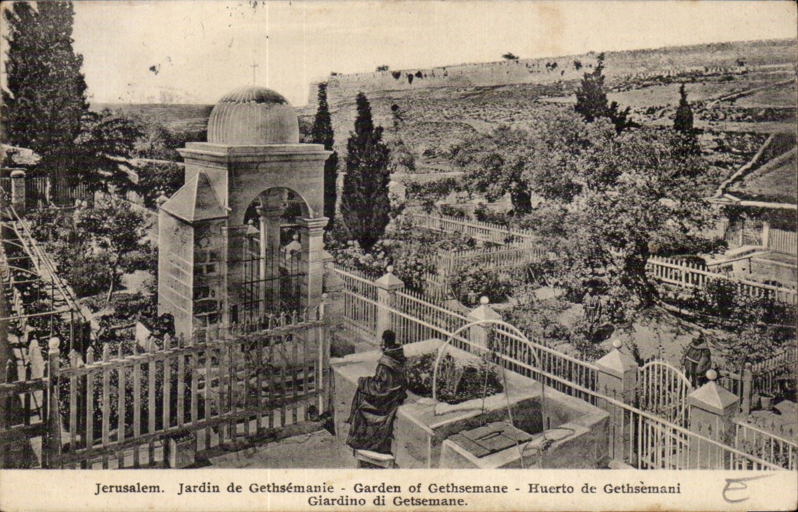Israel - Jerusalem - Jardin de Gethsemanie - Garden of Gethsemane- CPA 