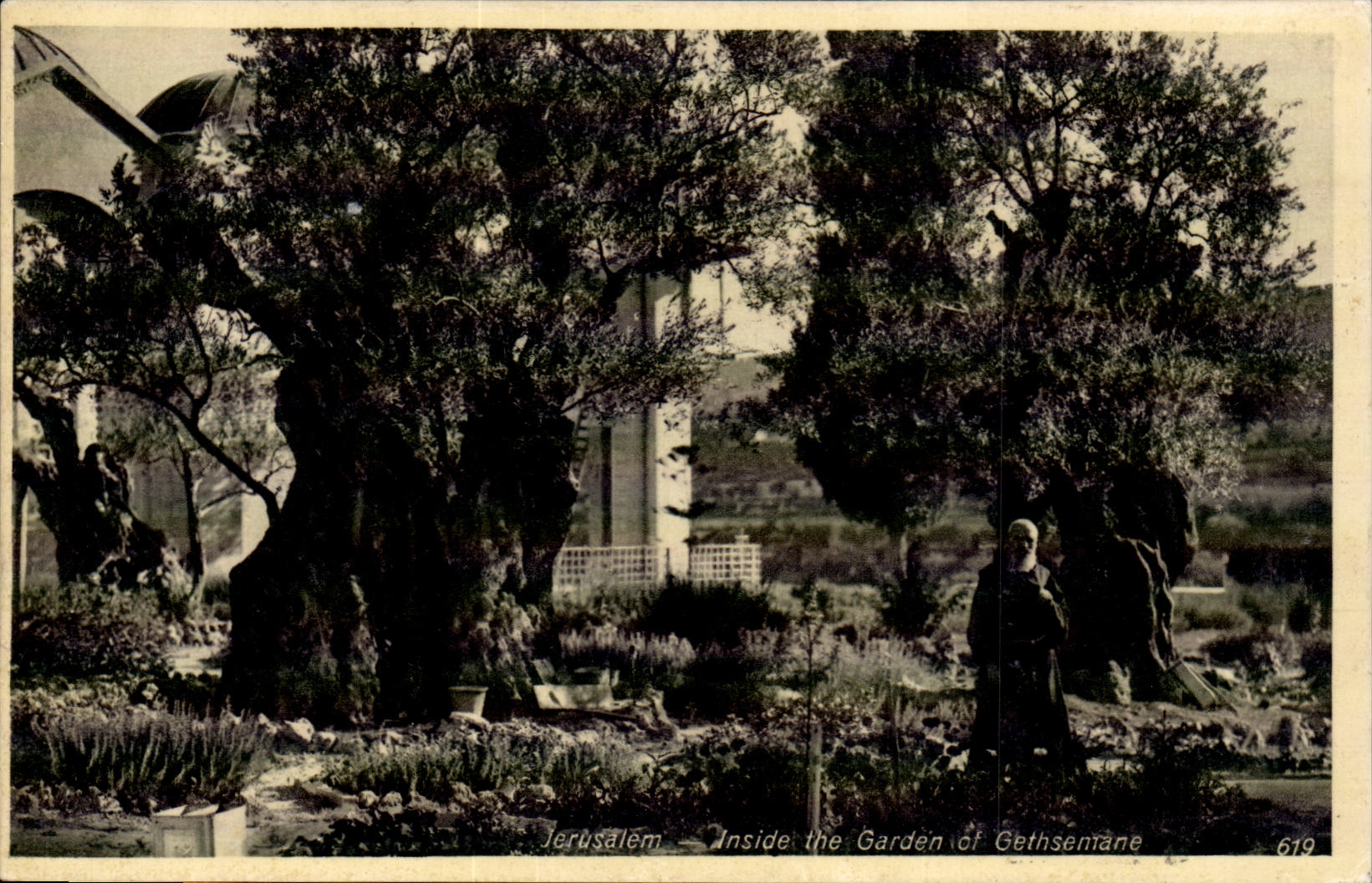 Israel - Jerusalem - Inside the Garden of Gethsemane CPA 