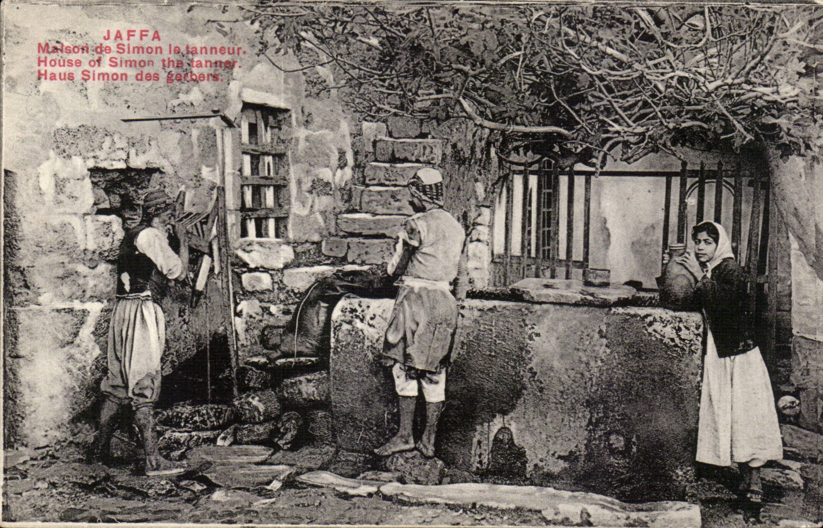 Israel - Jaffa - Maison de Simon le Tanneur - House of Simon the Tanner - CPA 