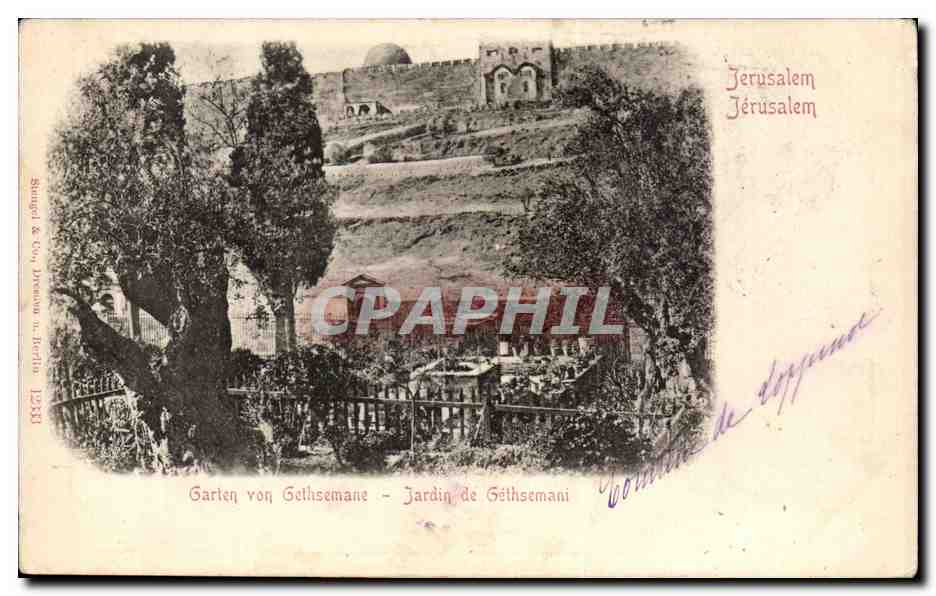 Israel - Jerusalem - Jardin de Gethsemeni - Garden of Gethsemane - CPA (Turquie Turkey)