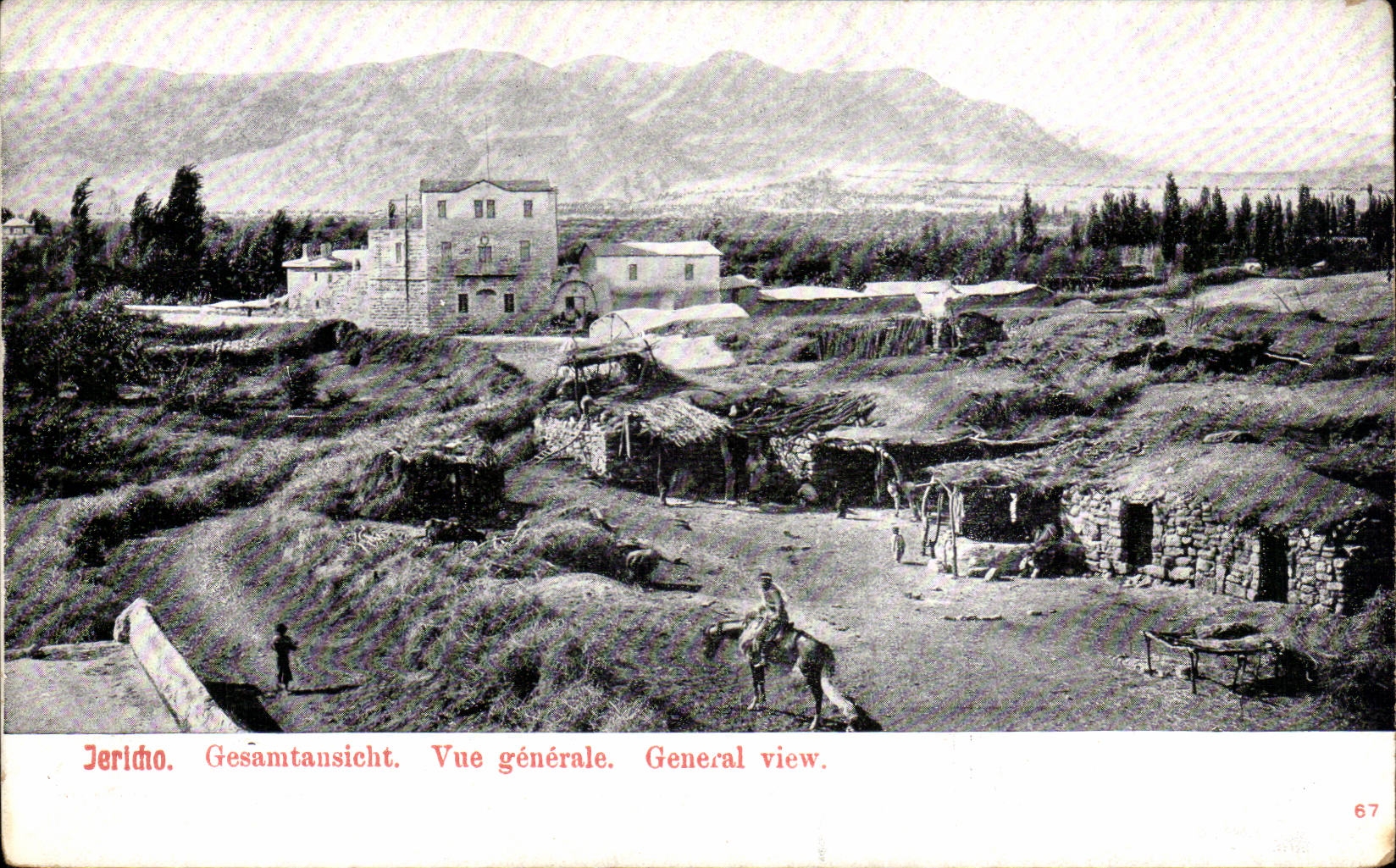 Israel - Jericho - Vue Generale - Generale View - Horse - Cheval CPA 