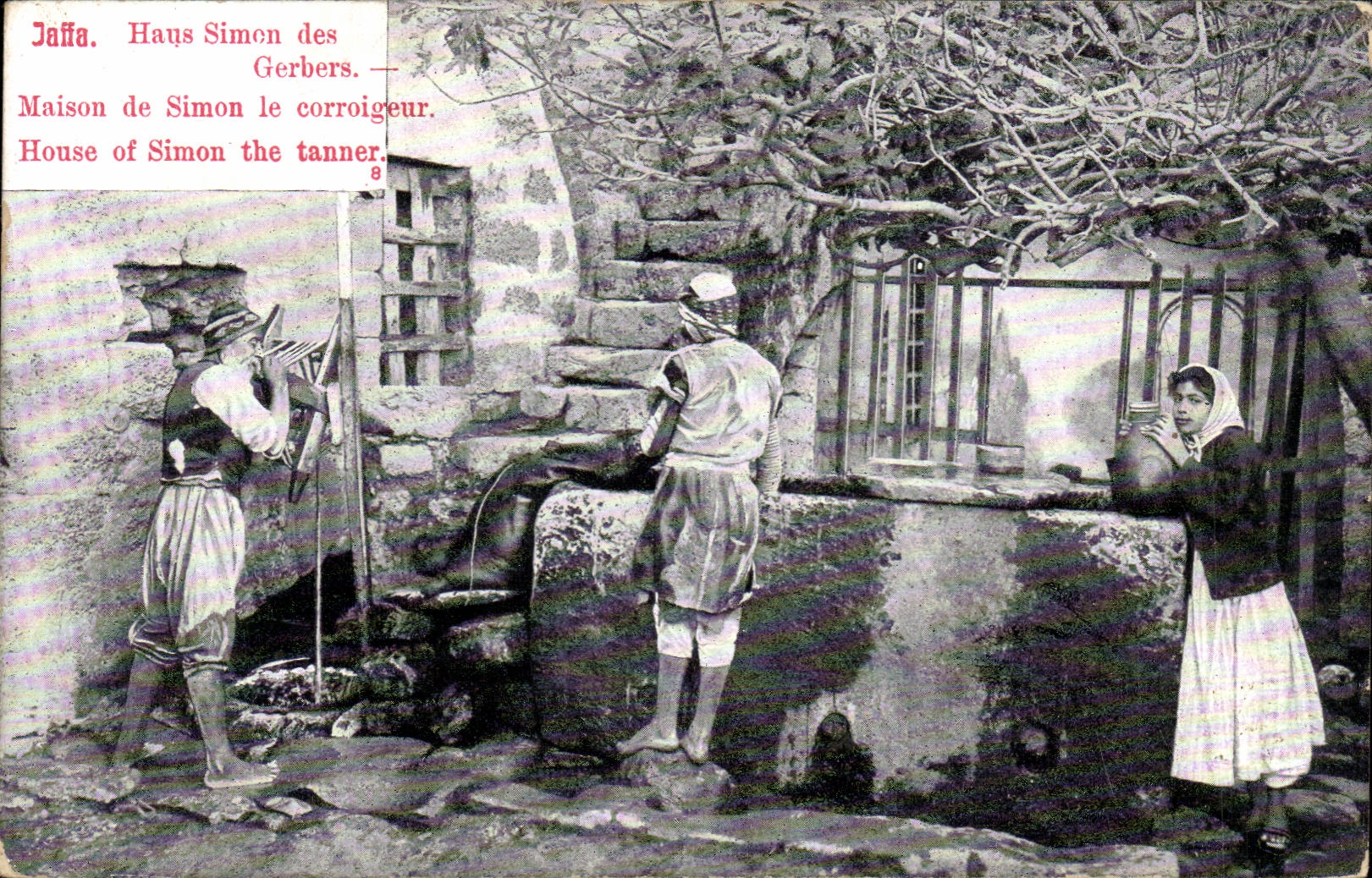 Israel - Jaffe - Maison de Simon le Corroigeur - House of Simon the tanner - CPA 