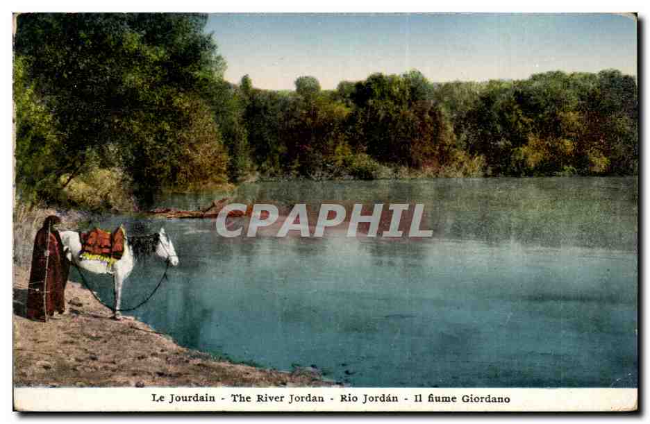 Israel - The Jordan River - La Jourdain - Rio Jordan - cheval - horse - CPA 