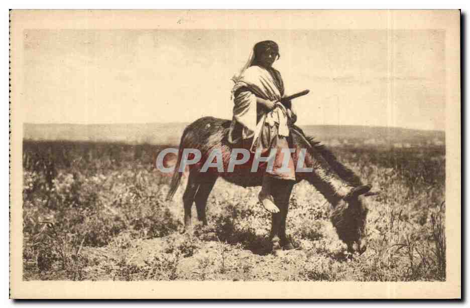 Israel - Sur la Route de Nazereth - Une Bergere - Shepardess - ane - donkey - CPA 