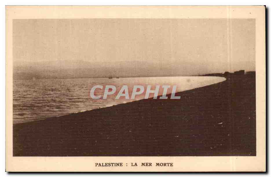 Israel - Palestine - La Mer Morte - The Dead Sea - Todes Meer - CPA 
