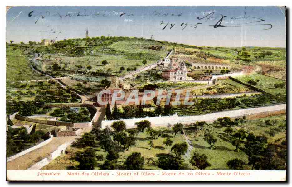 Israel - Jerusalem - The Mont of Olives - Mont des Oliviers - - CPA 