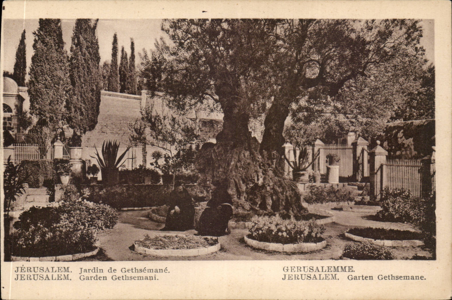 Jardin de Gethsémané — Jérusalem — Éditeur A. Attallah frères