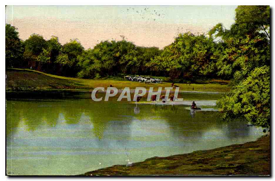 Israel - Jerusalem - The Ford of River Jordan - Bergers passant a gue leur troupeaux - CPA 
