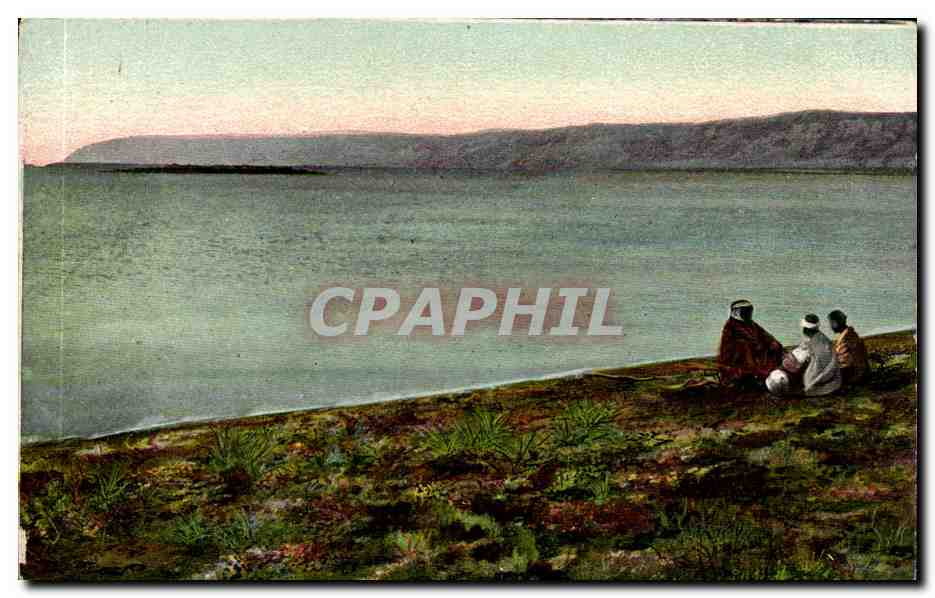 Israel - The Dead Sea - La Mer Morte - Totes Meer - CPA 