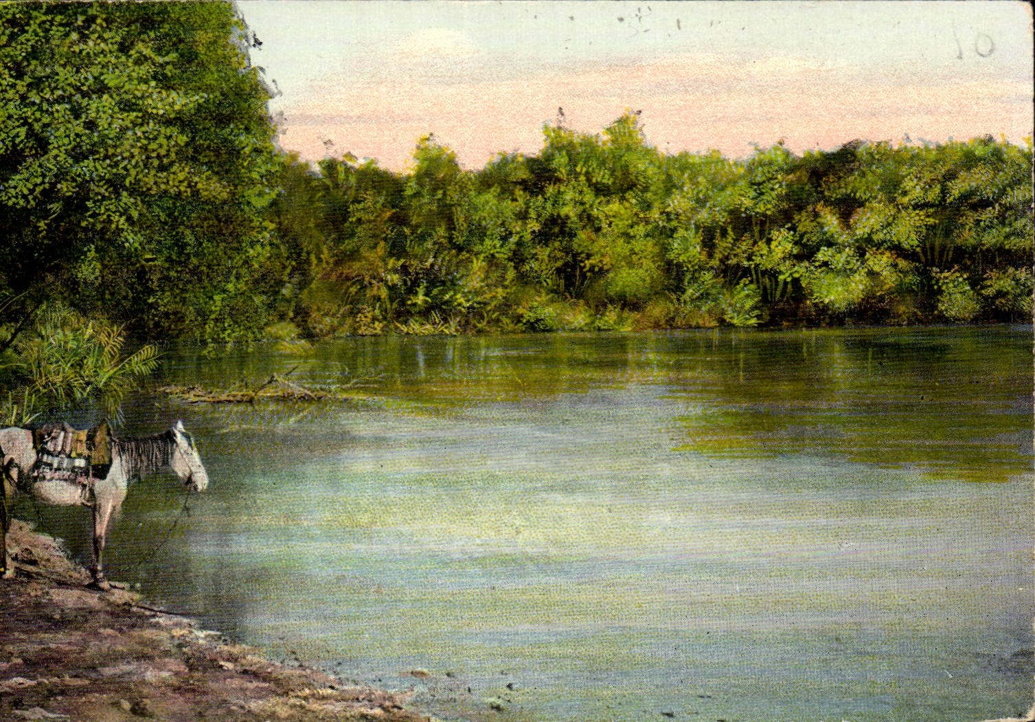 Israel - Jerusalem - The Jordan River - Le Jourdain - cheval - horse - CPA 