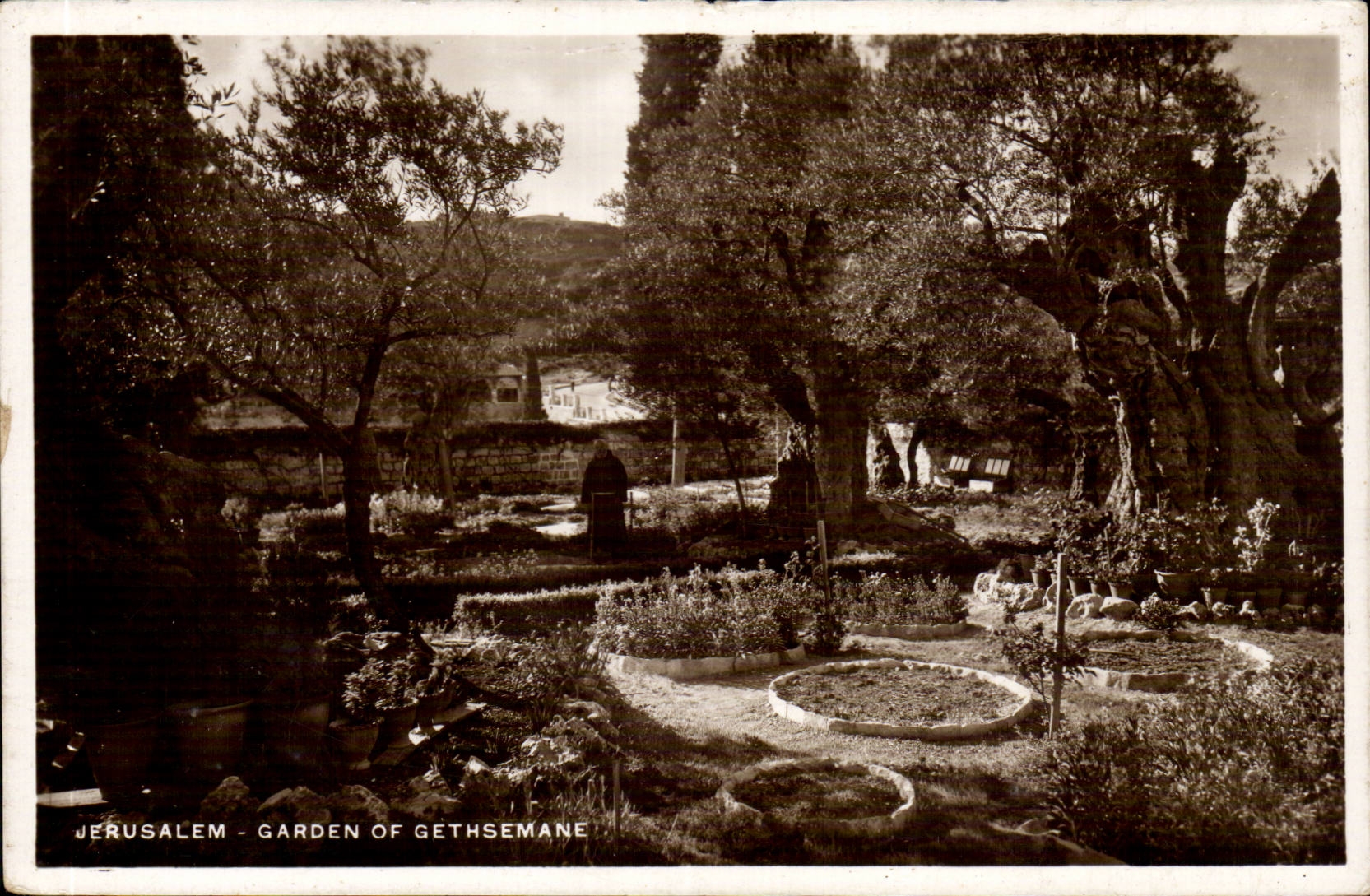 Israel - Jerusalem - Garden of Gethsemane CPA 