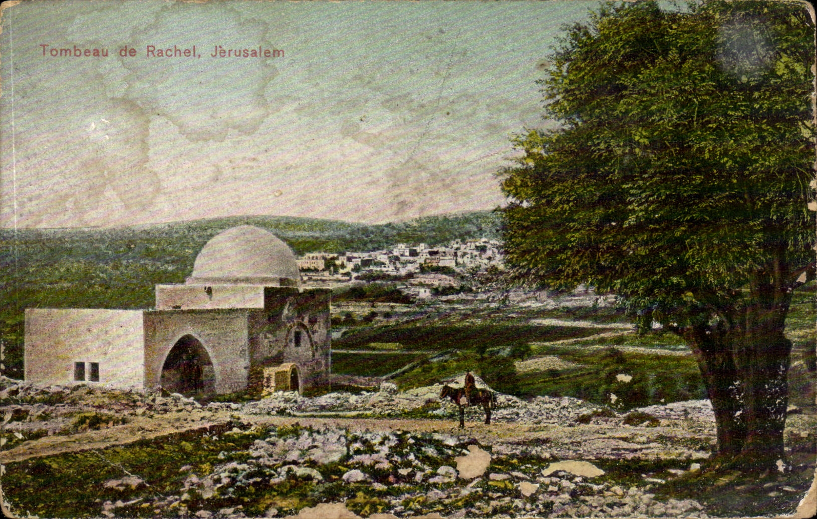 Israel - Jerusalem - Tombeau de Rachel - cheval - horse CPA 