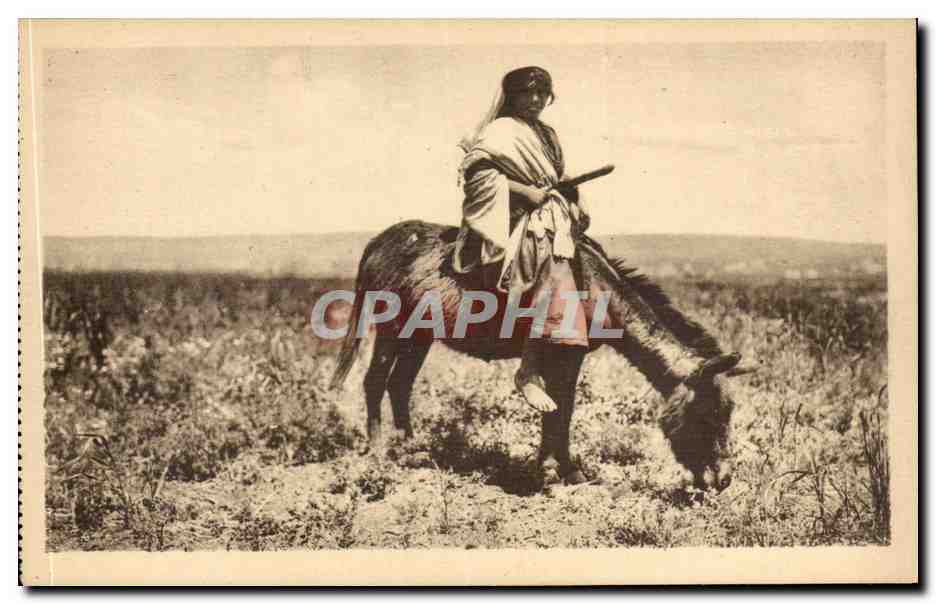 Israel - Sur la Route de Nazareth - Bergere - Sheperdess on the Nazareth Road - cheval - horse CPA 