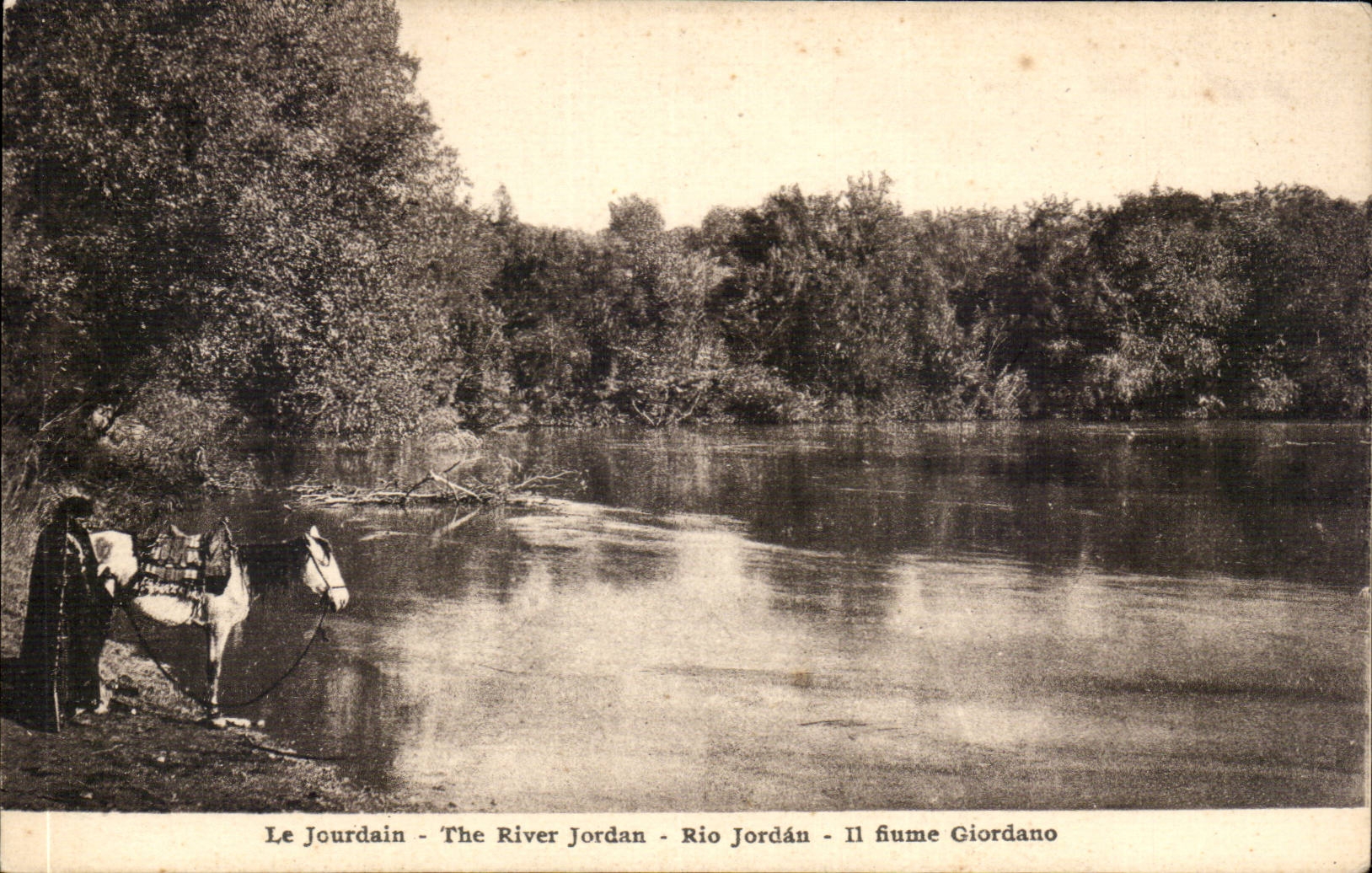 Israel - Jerusalem - The River Jordan - Le Jourdain - Cheval - Horse CPA 