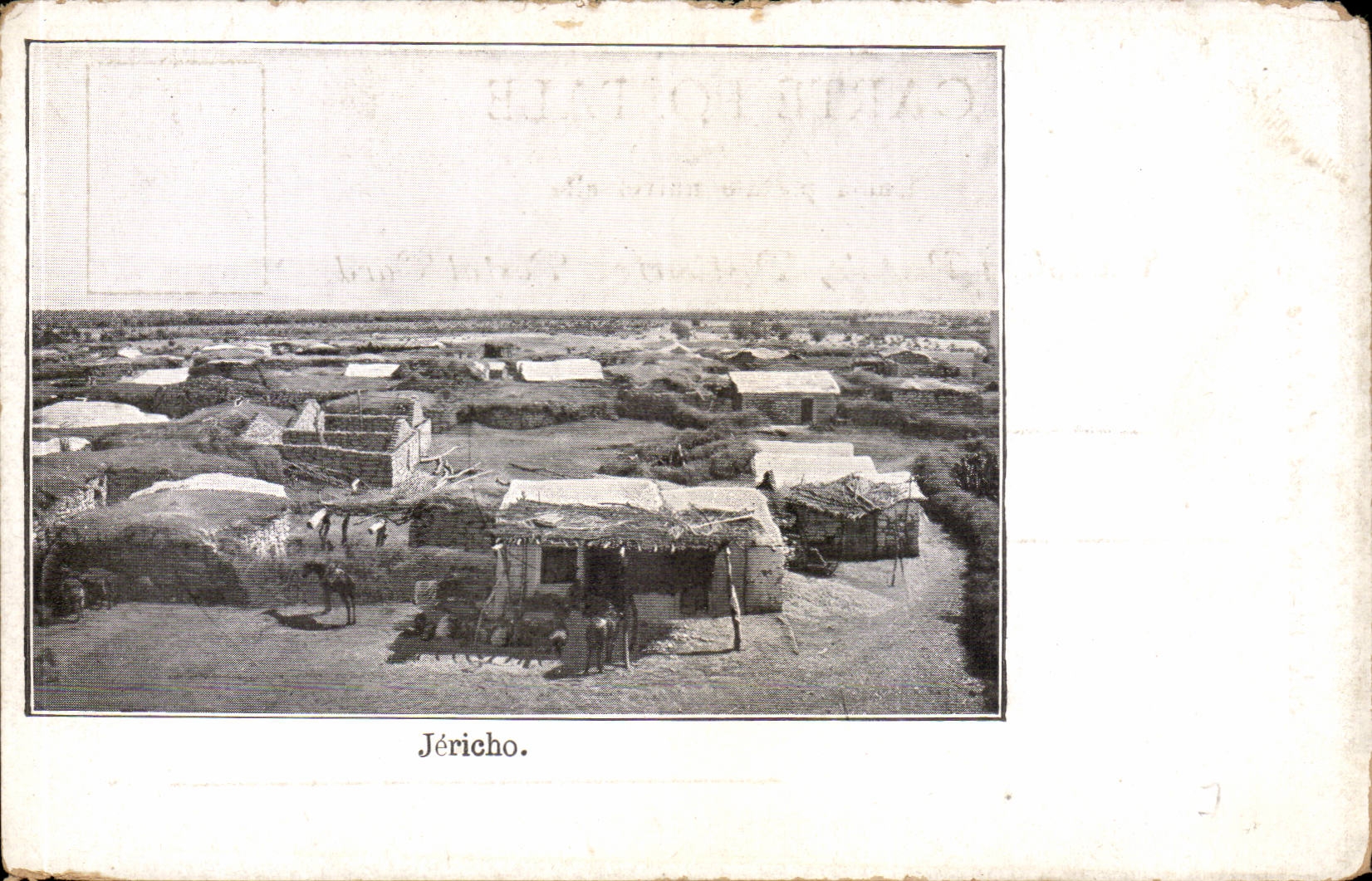 Israel - Jericho - cheval - horse CPA 