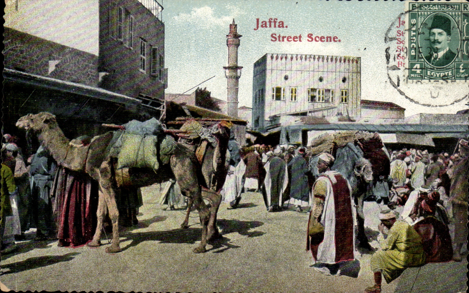 Israel - Jaffa - Street Scene - camel - chameau CPA 