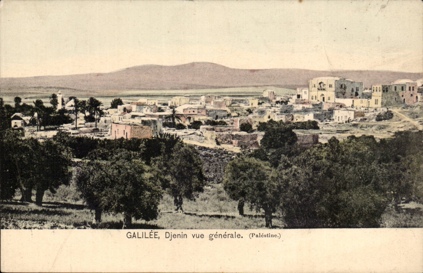 Israel - Jerusalem - Galilee - Djenin Vue Generale - General View - CPA 