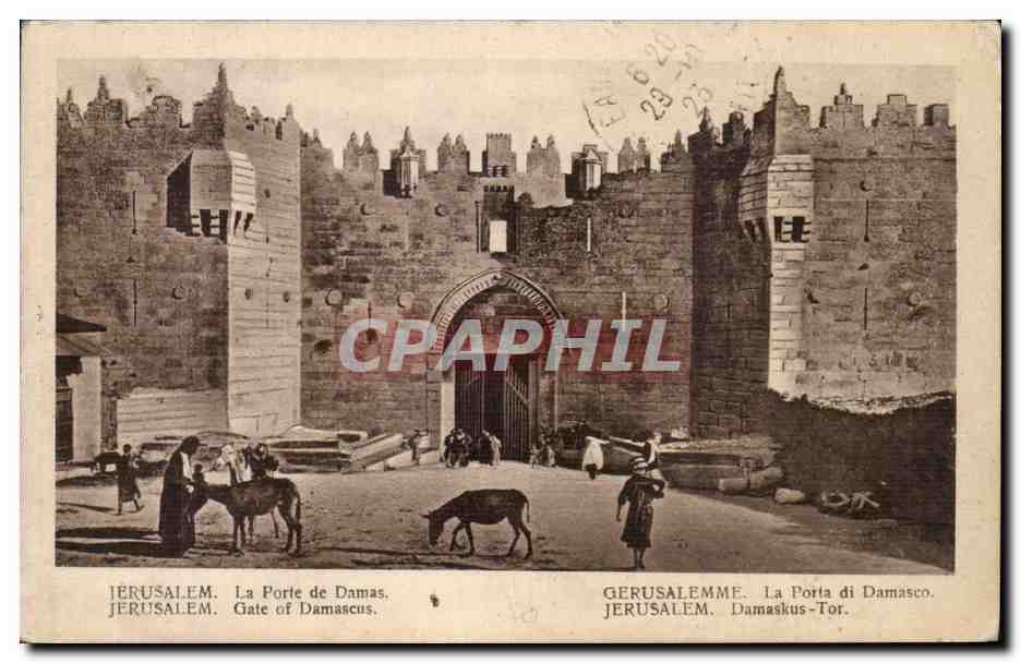 Israel - Jerusalem - La Porte de Damas - Gate of Damascus - ane - donkey - CPA 