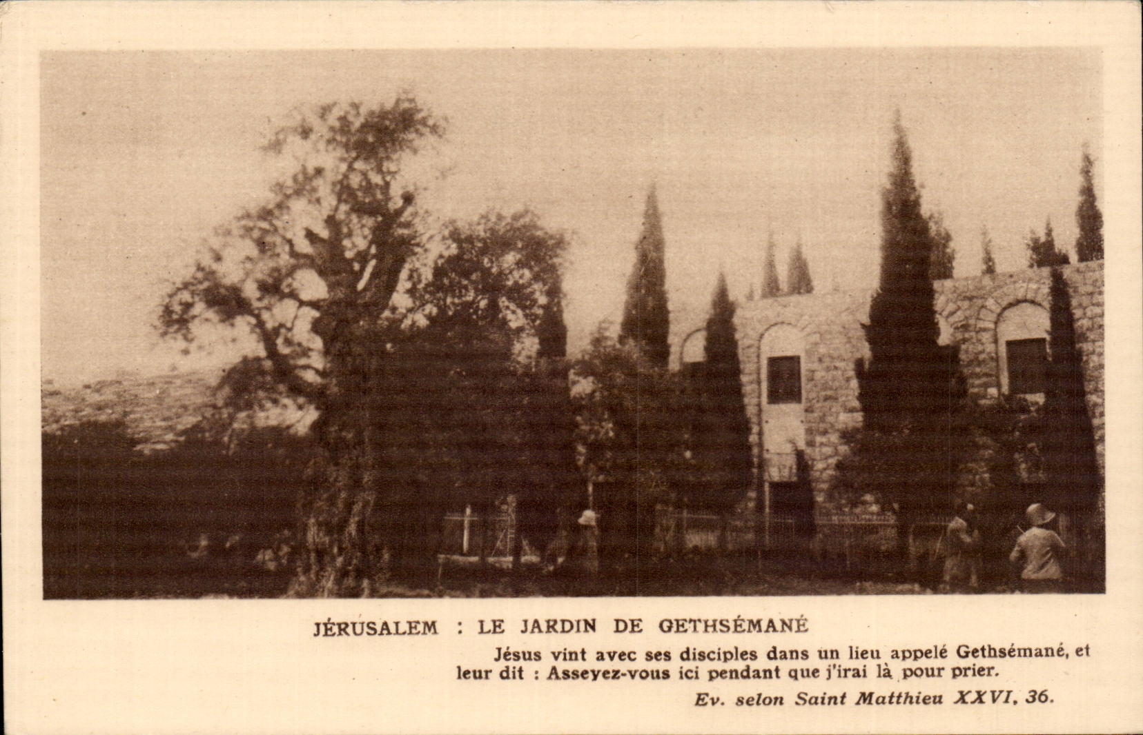 Jérusalem : Le Jardin de Gethsémané — Éditeur A. Mouret, série de pèlerinages protestants en Palestine (1926-1930)