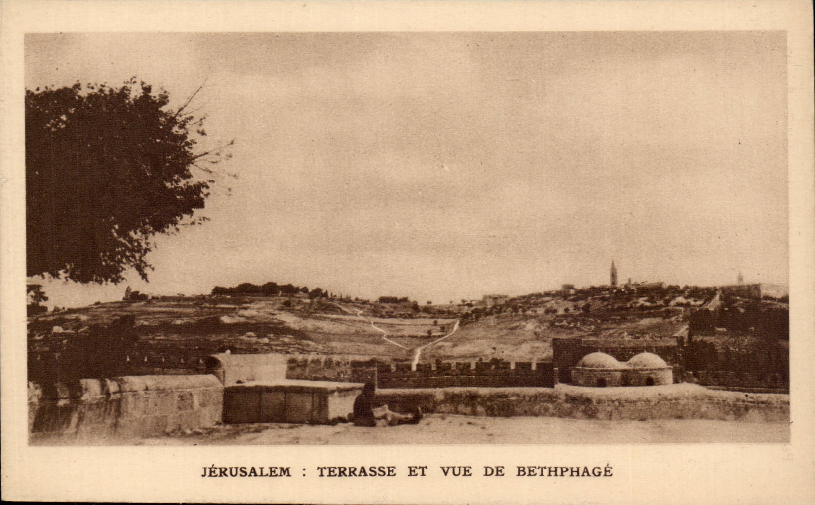 Israel - Jerusalem - Terrasse et Vue de Bethphage - CPA 