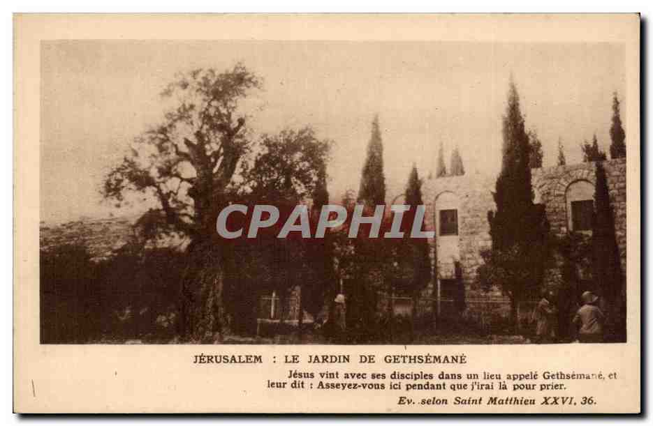Israel - Jerusalem - Le Jardin de Gethsemane - CPA 