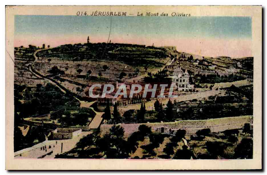 Israel - Jerusalem - Le Mont des Oliviers - CPA 