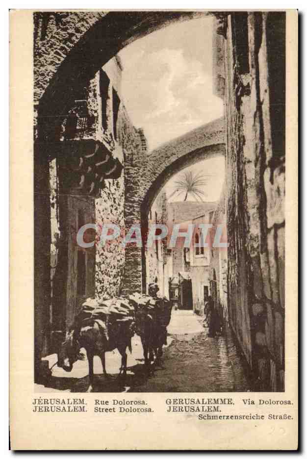 Israel - Rue Dolorosa - Street - Ane - Donkey - CPA 