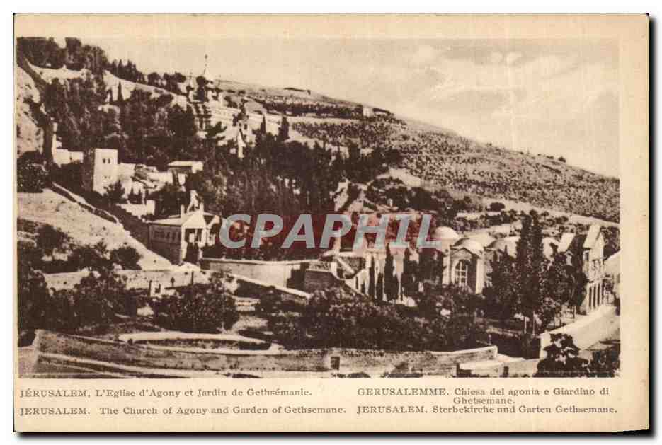 Israel - L'Eglise d'Agony et Jardin de Gethsemane - The Church of Agony and the Garden - CPA 
