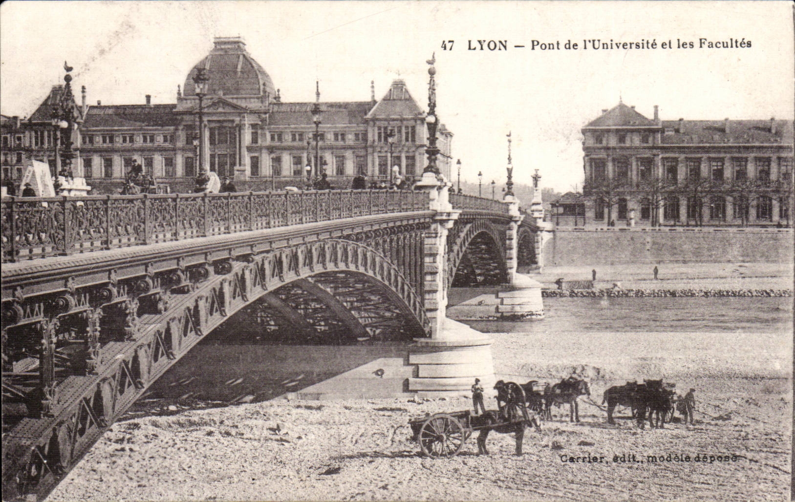 Lyon - Pont de L'Universite et les Facultes - cheval - horse CPA 