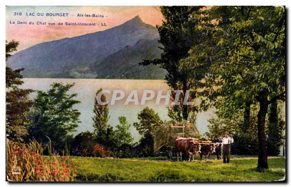 Aix les Bains - Lac du Bourget - Dent du Chat vue de Saint Innocent - CPA (attelage de boeufs)