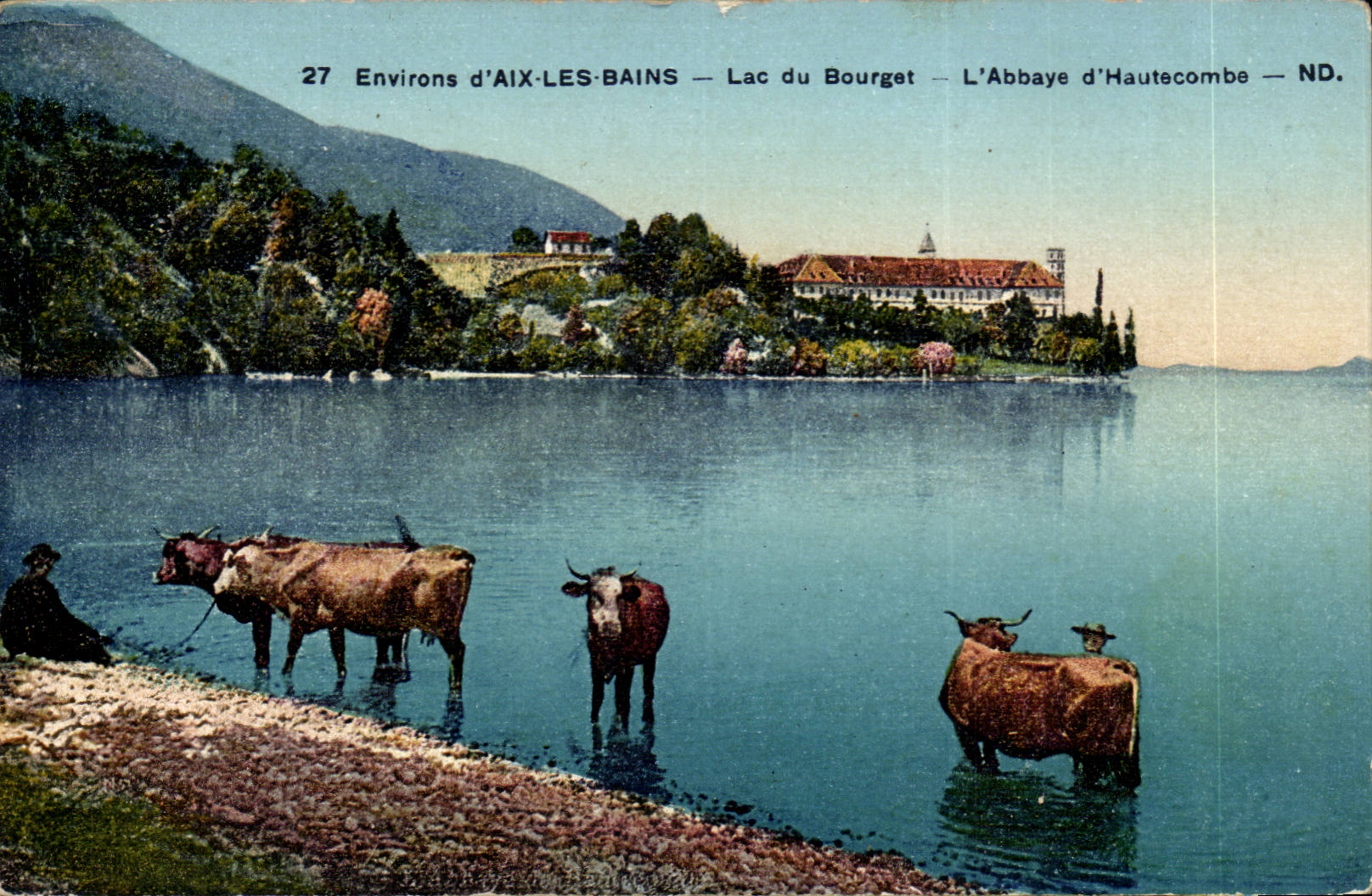 Aix les Bains - Lac du Bourget - Abbaye Hautecombe - vache - cow - CPA 