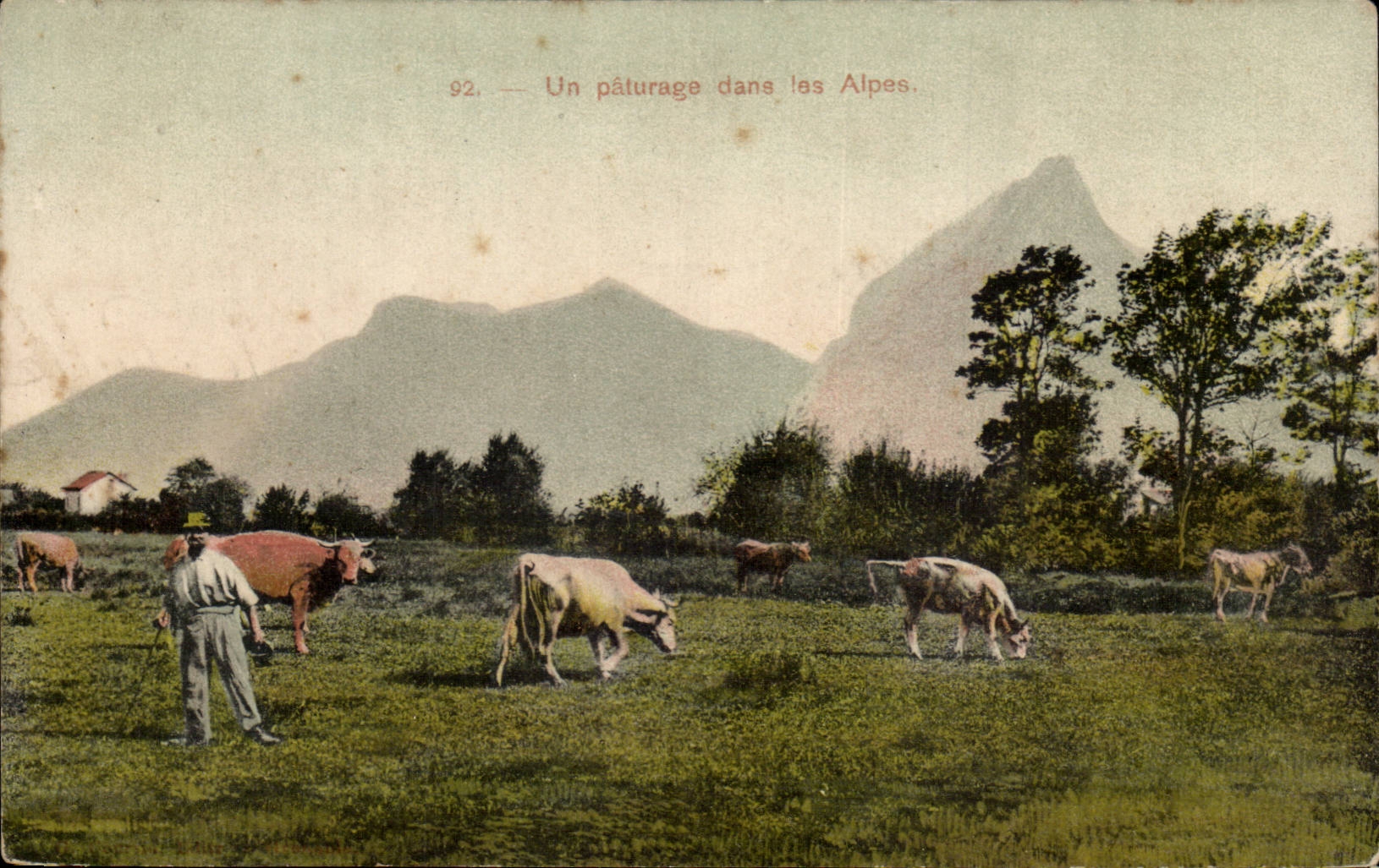 CPA Un paturage dans les Alpes