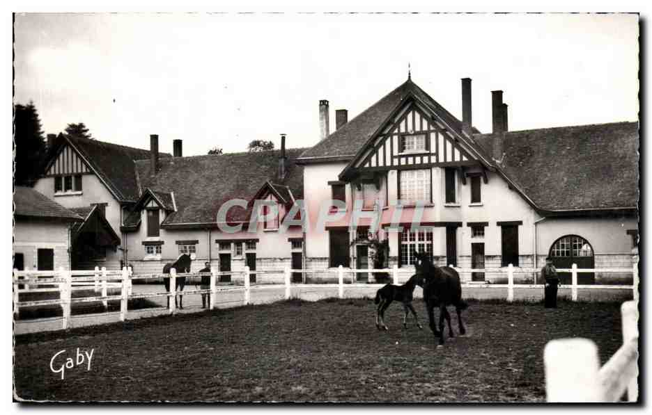 Haras de la Beauvaisinière — Le Merlerault (Orne) — Éditions Gaby