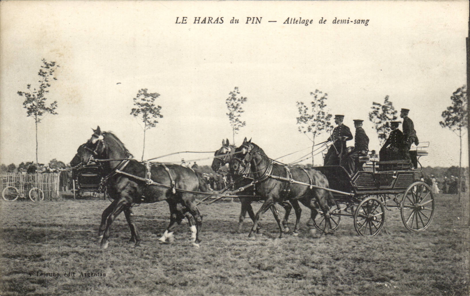 Le Haras du Pin CPA Attelage de demi sang (chevaux cheval horse)