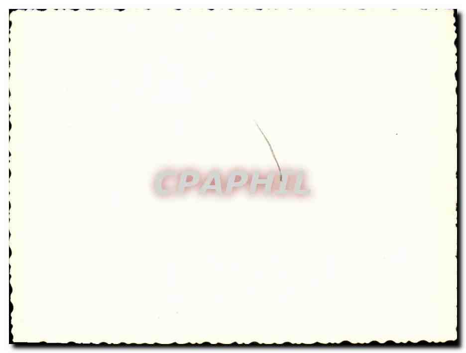 CPA CARTE PHOTO Bateau (boat ship guerre) — Rückseite