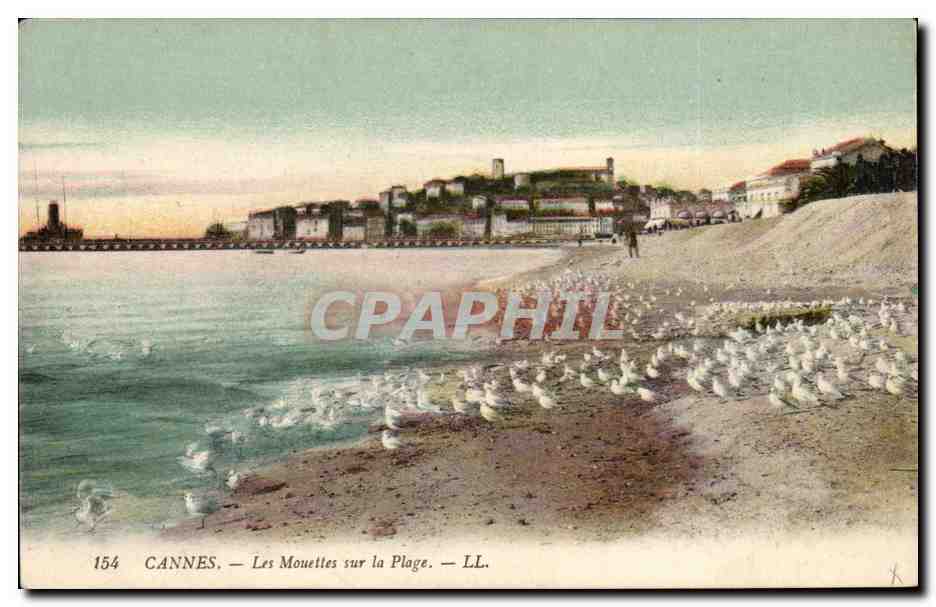 Cannes - Les Mouettes sur la Plage - CPA 