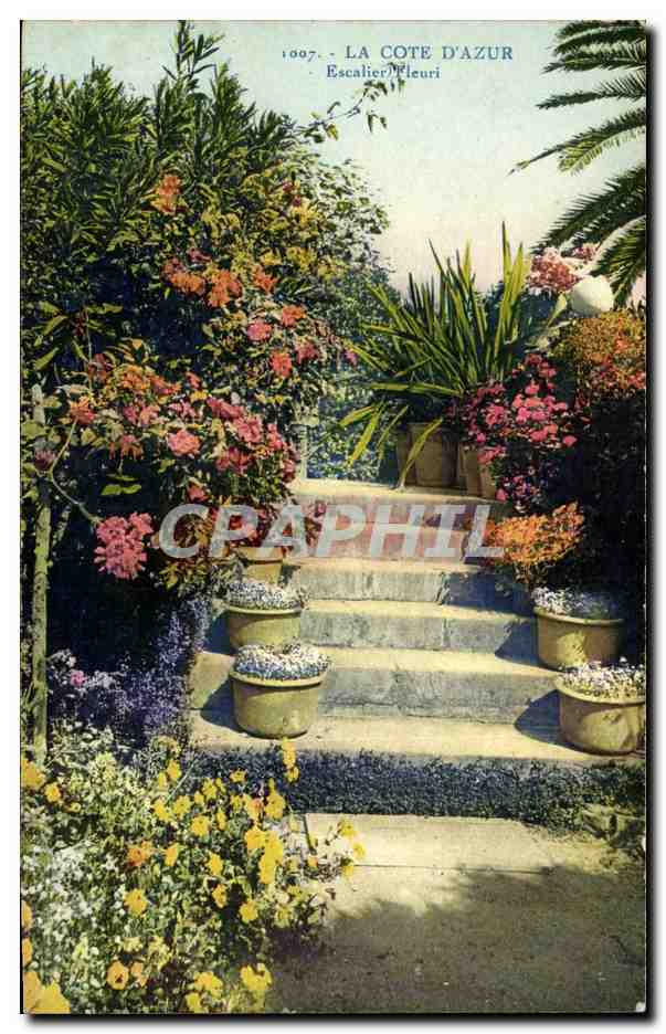 La Cote d'Azur - Escalier Fleuri CPA 