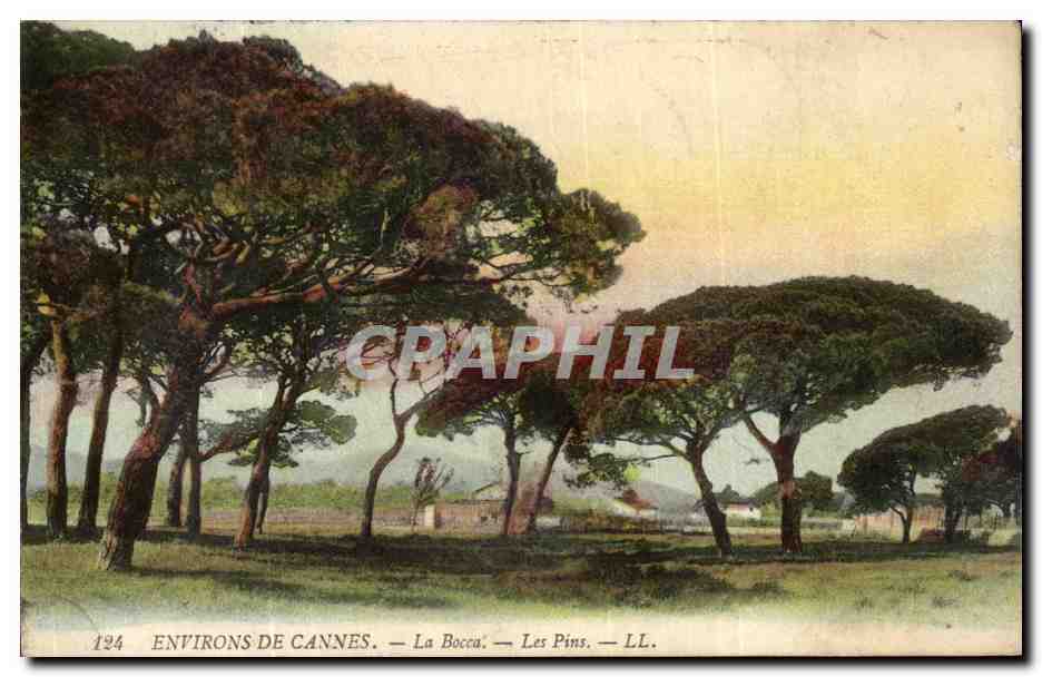 Environs de Cannes - La Bocca - Les Pins CPA 