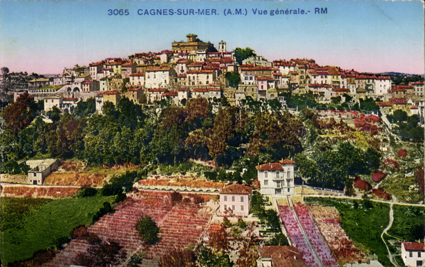 Cagnes sur Mer - Vue Generale - CPA 