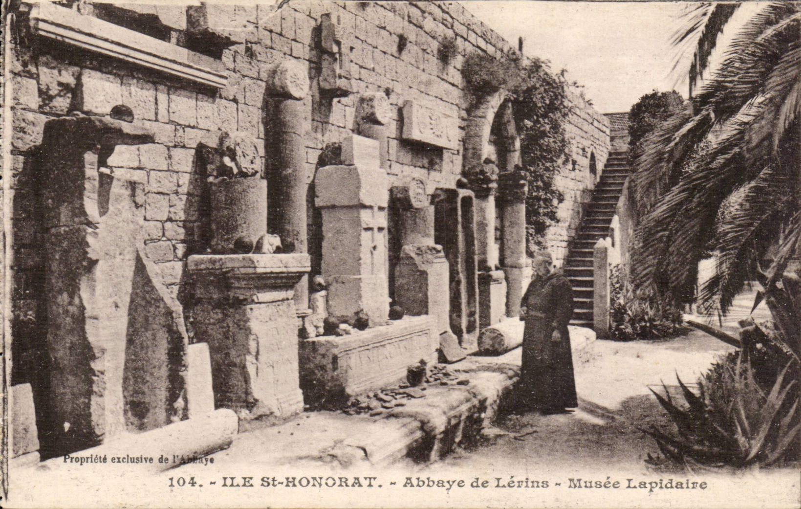 Ile St Honorat - Abbaye de Lerins - Musee Lapidaise - CPA 