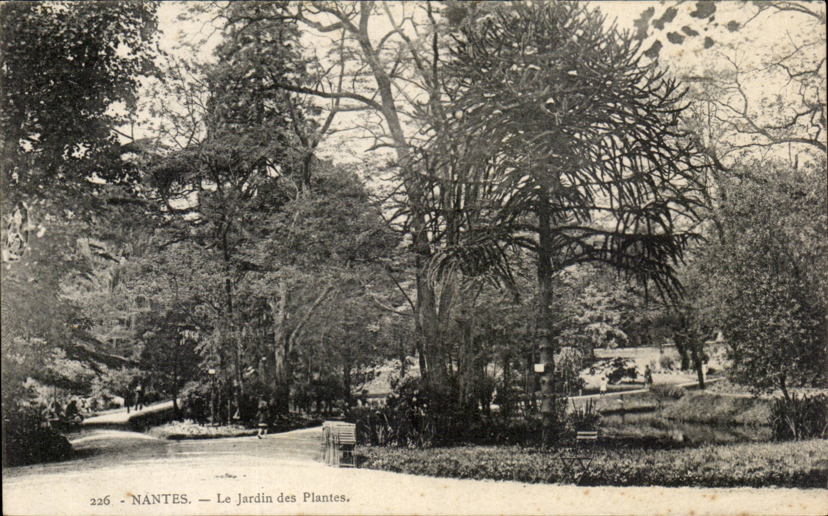 Nantes - Le Jardin des Plantes - CPA 